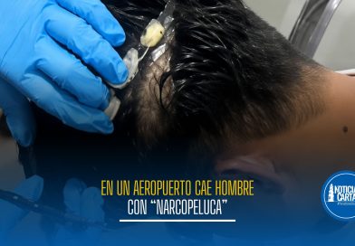 No pasó el control: descubren “narcopeluca” cargada de droga en aeropuerto