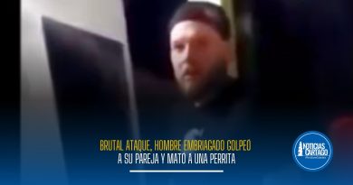 Brutal ataque: hombre borracho golpeó a su pareja y mató a una perrita