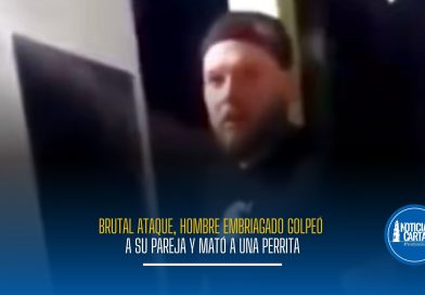 Brutal ataque: hombre borracho golpeó a su pareja y mató a una perrita