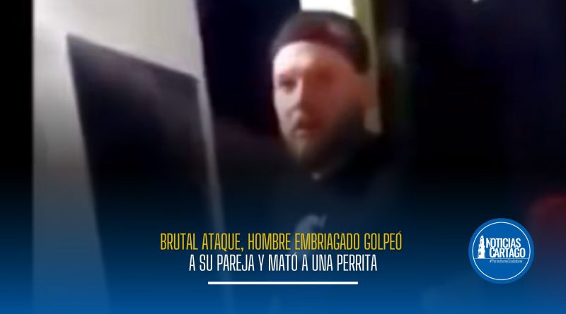 Brutal ataque: hombre borracho golpeó a su pareja y mató a una perrita