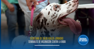 Secretaría de Salud realiza jornadas semanales de vacunación contra la rabia