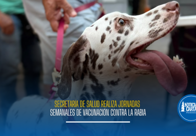 Secretaría de Salud realiza jornadas semanales de vacunación contra la rabia