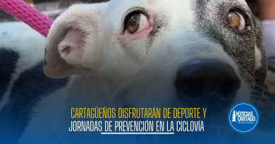 Cartagüeños disfrutarán de deporte y jornadas de prevención en la Ciclovía del Sol