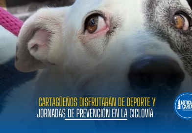 Cartagüeños disfrutarán de deporte y jornadas de prevención en la Ciclovía del Sol