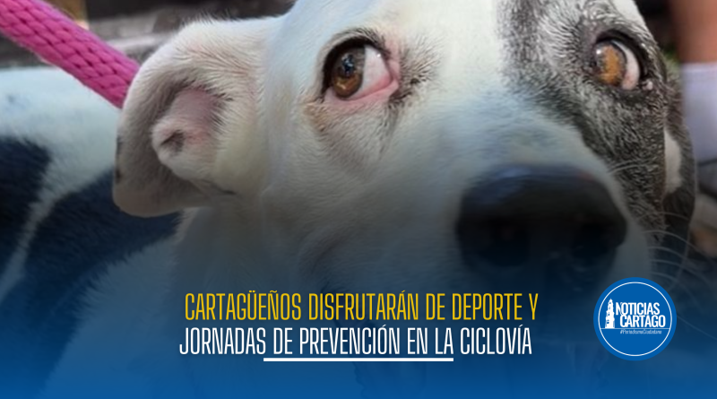 Cartagüeños disfrutarán de deporte y jornadas de prevención en la Ciclovía del Sol