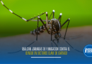 Realizan jornadas de fumigación contra el dengue en sectores clave de Cartago