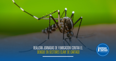 Realizan jornadas de fumigación contra el dengue en sectores clave de Cartago