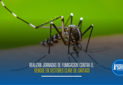 Realizan jornadas de fumigación contra el dengue en sectores clave de Cartago