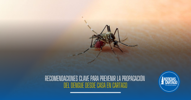 “El dengue no es un juego”: Pequeñas acciones en el hogar que salvan vidas