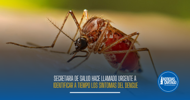 Secretaría de Salud hace llamado urgente a identificar a tiempo los síntomas del dengue