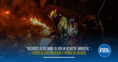 Los incendios forestales en Colombia, sumados a la sequía y pérdida de bosques, podrían afectar ecosistemas, fauna y fuentes de agua, advierte experto