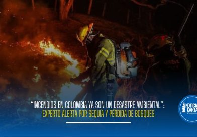 Los incendios forestales en Colombia, sumados a la sequía y pérdida de bosques, podrían afectar ecosistemas, fauna y fuentes de agua, advierte experto