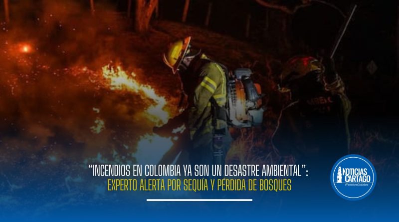 Los incendios forestales en Colombia, sumados a la sequía y pérdida de bosques, podrían afectar ecosistemas, fauna y fuentes de agua, advierte experto