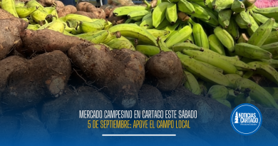 Mercado Campesino en Cartago este sábado 5 de septiembre: Apoye el campo local
