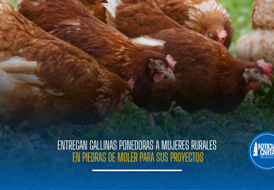Entregan gallinas ponedoras a mujeres rurales en Piedras de Moler para sus proyectos