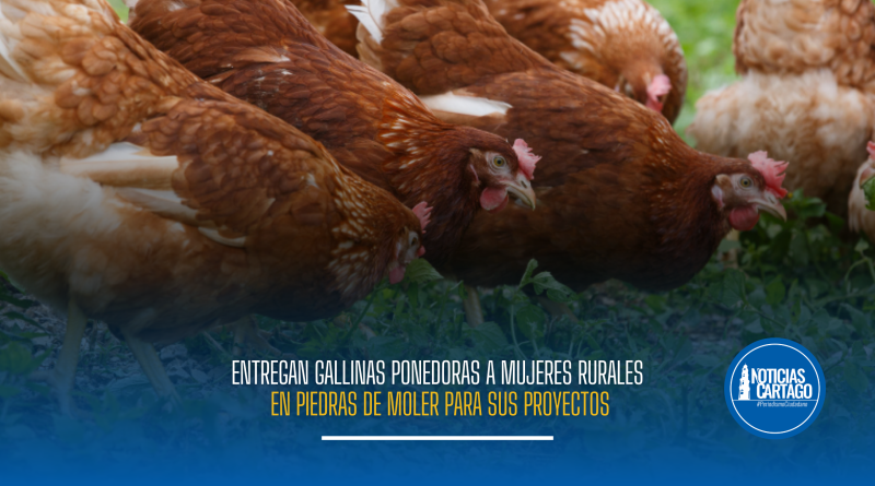 Entregan gallinas ponedoras a mujeres rurales en Piedras de Moler para sus proyectos