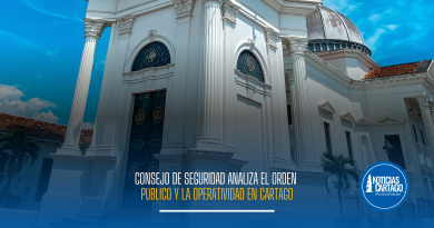 Consejo de Seguridad analiza el orden público y la operatividad en Cartago