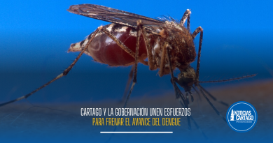 Cartago y la Gobernación unen esfuerzos para frenar el avance del dengue