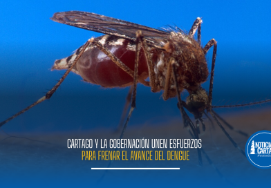 Cartago y la Gobernación unen esfuerzos para frenar el avance del dengue