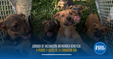 Jornada de vacunación antirrábica beneficia a perros y gatos de la fundación ADA