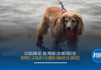 Disfruta el fin de semana en familia con la ciclovía y recreación en Cartago