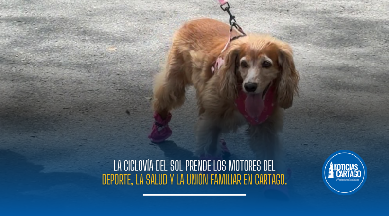 Disfruta el fin de semana en familia con la ciclovía y recreación en Cartago
