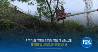 Alcaldía de Cartago ejecuta obras de mitigación en talud de la carrera 4 con calle 21